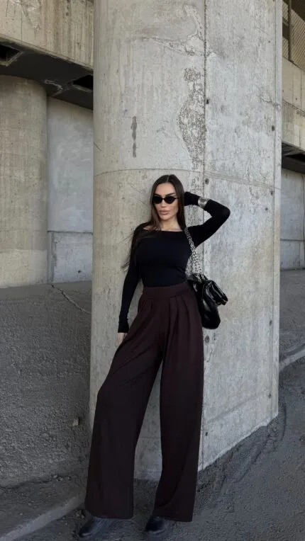 Brown Pleated Palazzo Pants